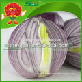 Chinese fresh red onions in mesh bag